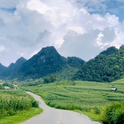Ha Quang